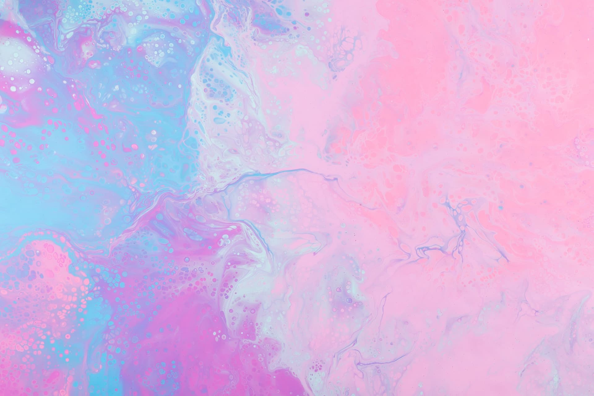 header-card